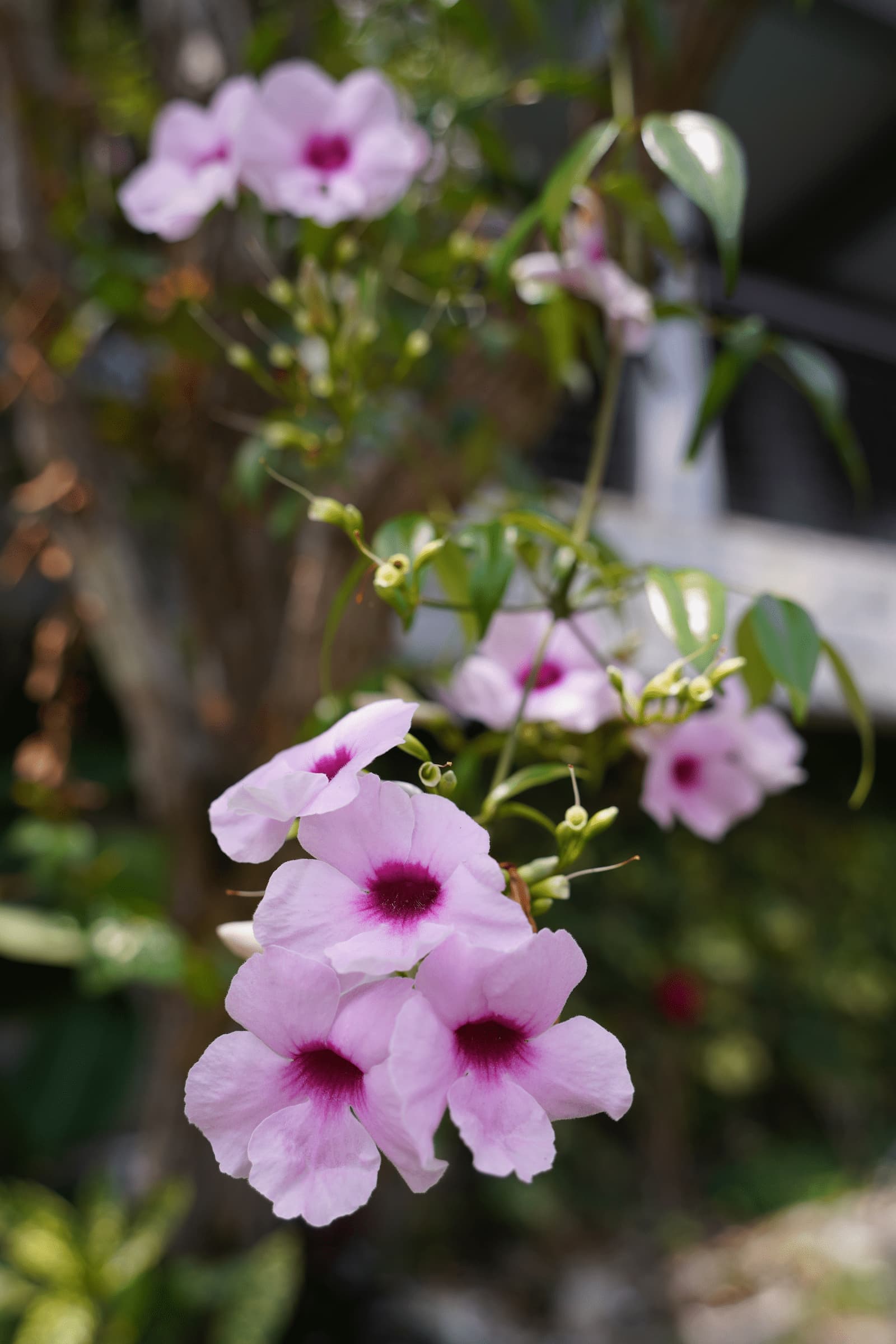Cozy room with warm lighting